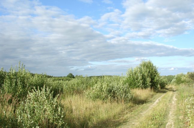 Acquiring Land By Time